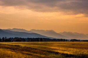 Can You Execute a Will Without a Lawyer in Wyoming